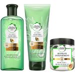 shampoing antipelliculaire herbal essences