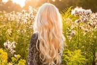 shampoing naturel et bio