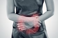 probiotique intestin irritable